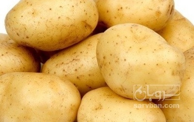 فروش سیب زمینی