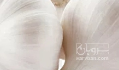 فروش سیر