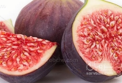 فروش انجیر