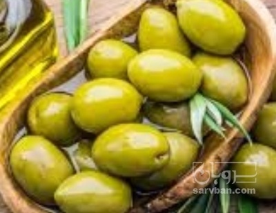 فروش زیتون
