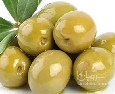 فروش زیتون