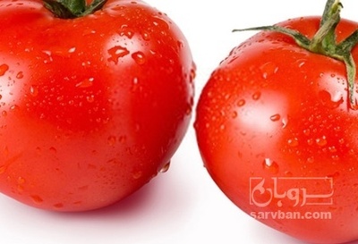 فروش گوجه فرنگی