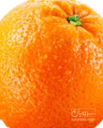 فروش پرتقال