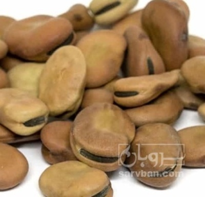 فروش باقلا تازه - باقالی - باقالا