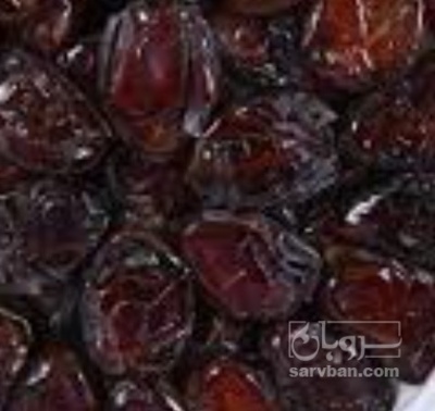 فروش خرما کبکاب