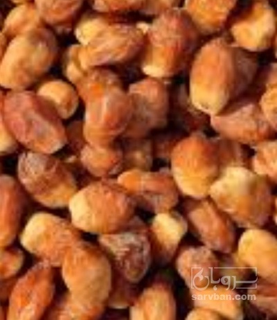 فروش خرما زاهدی