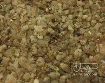 فروش ترنجبین  (گیاه‌ دارویی)