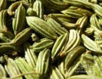 فروش زیره (گیاه‌ دارویی)