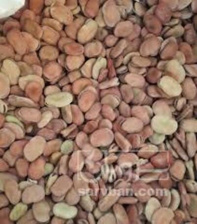 فروش باقلا خشک