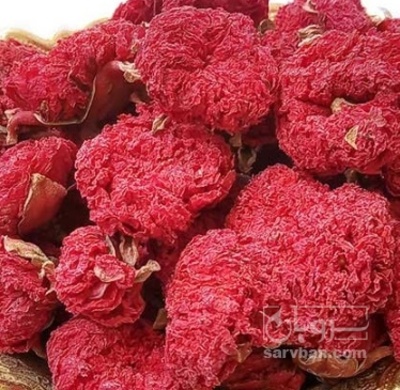 فروش گلنار فارسی ( گلانار ) (گیاه‌ دارویی)