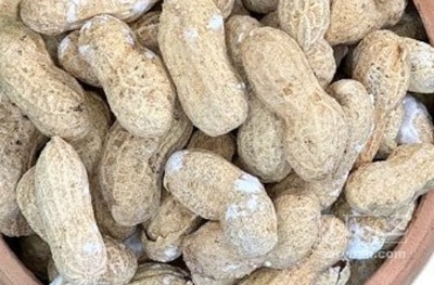 فروش بادام زمینی با قلاف