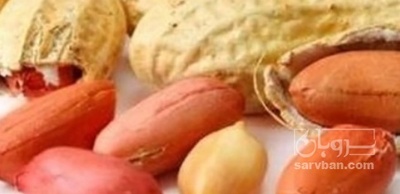 فروش بادام زمینی بی قلاف