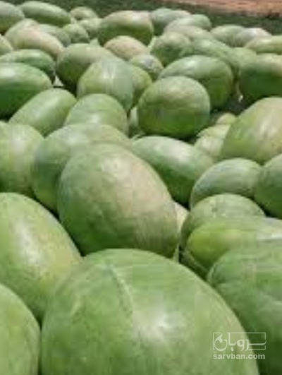 فروش هندوانه