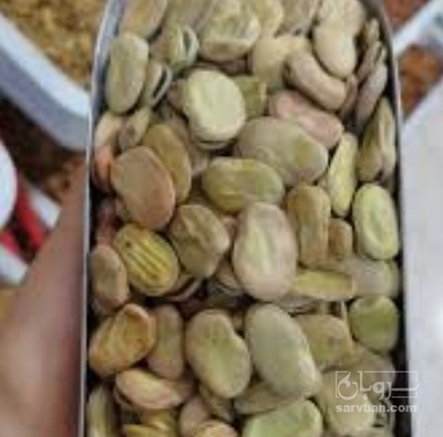 فروش باقلا تازه - باقالی - باقالا