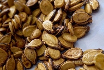 فروش تخمه هندوانه بو داده