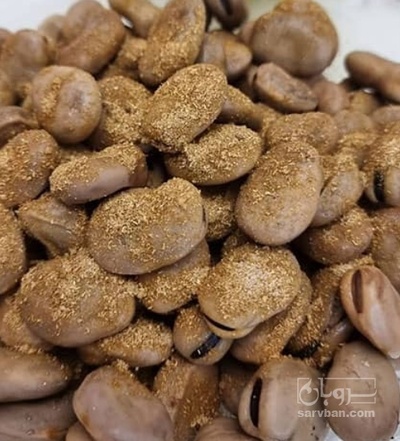 فروش باقلا خشک