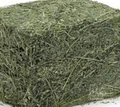 فروش یونجه