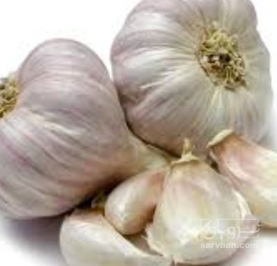 فروش سیر خشک