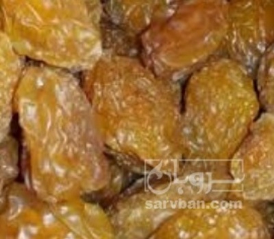 فروش آلوچه خشک زرد