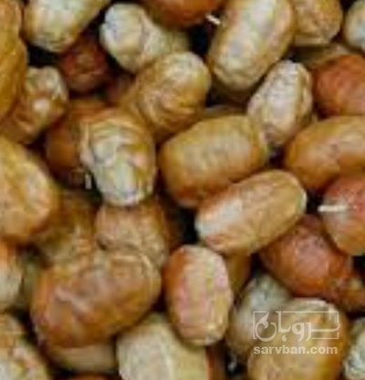 فروش سنجد قندی