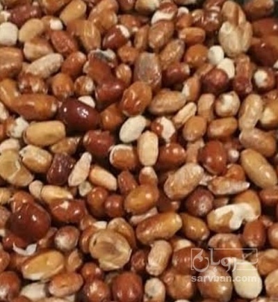 فروش سنجد آردی
