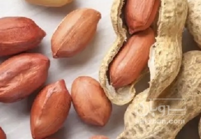 فروش بادام زمینی بی قلاف