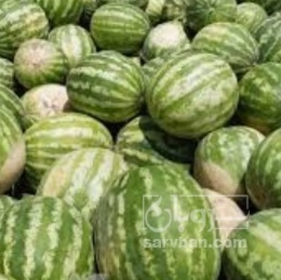 فروش هندوانه گرد