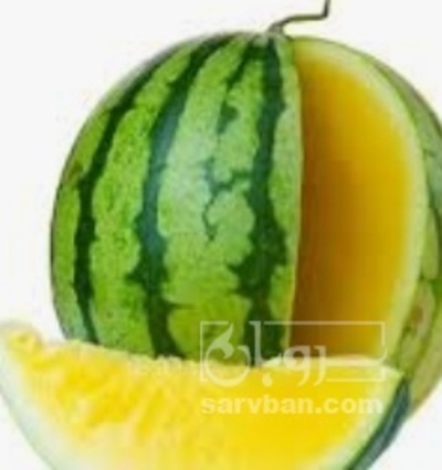 فروش هندوانه اناناسی