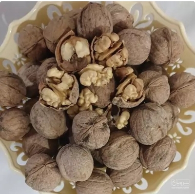فروش گردو