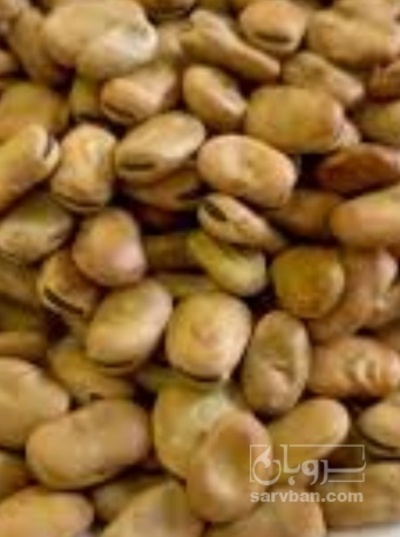 فروش باقلا تازه - باقالی - باقالا