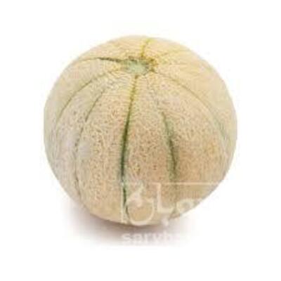 فروش طالبی