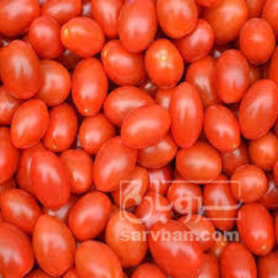 فروش گوجه فرنگی