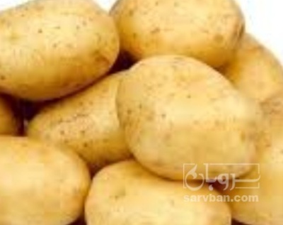 فروش سیب زمینی