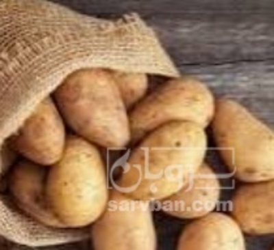 فروش برنج