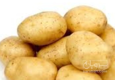فروش سیب زمینی