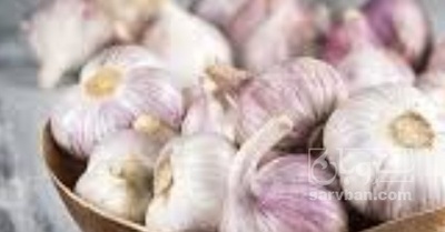 فروش سیر