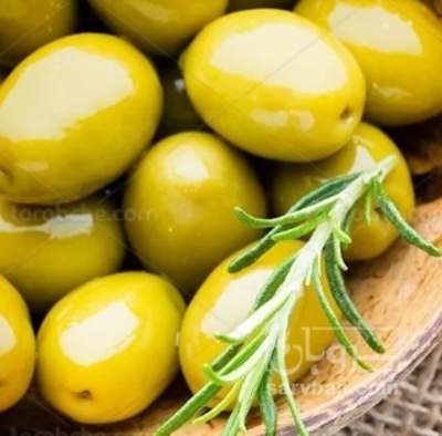 فروش زیتون
