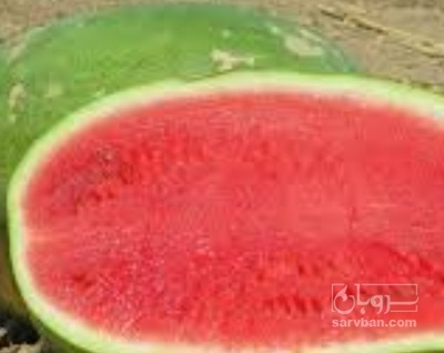 فروش هندوانه