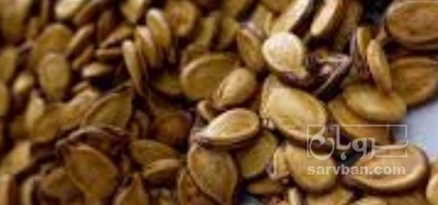 فروش تخمه هندوانه