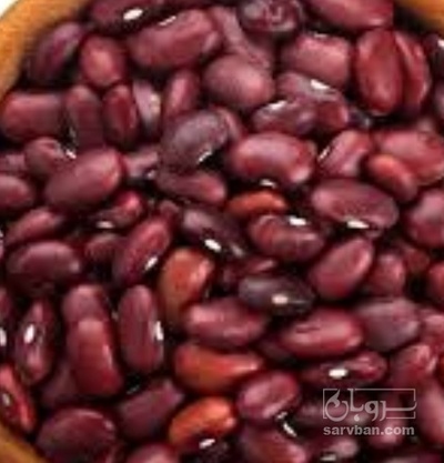 فروش لوبیا قرمز