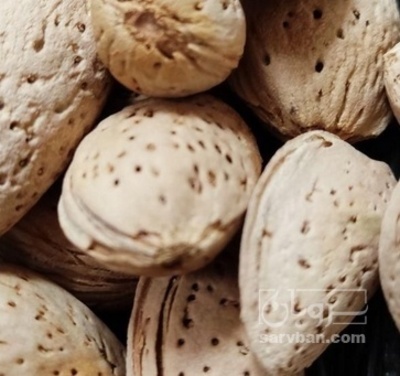 فروش بادام