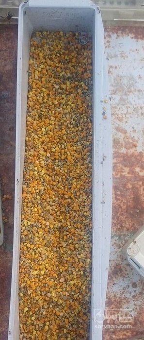 فروش گرده گل