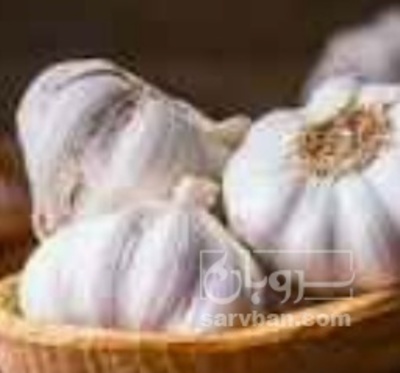 فروش سیر خوراکی