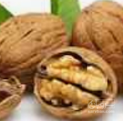 فروش گردو