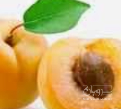 فروش زردآلو