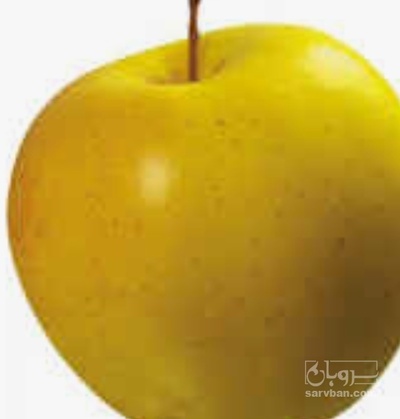 فروش سیب زرد