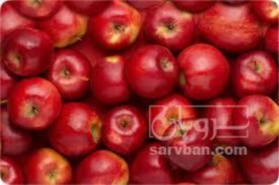 فروش سیب قرمز