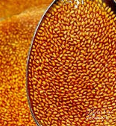 فروش خاکشیر (گیاه‌ دارویی)