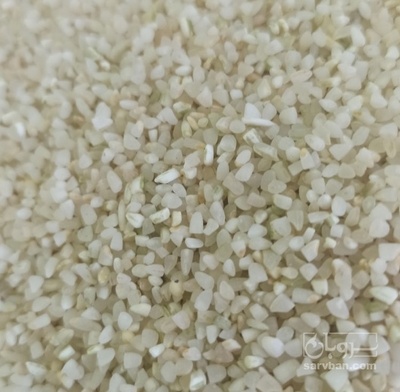 فروش برنج