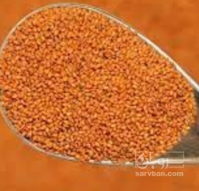 فروش خاکشیر (گیاه‌ دارویی)